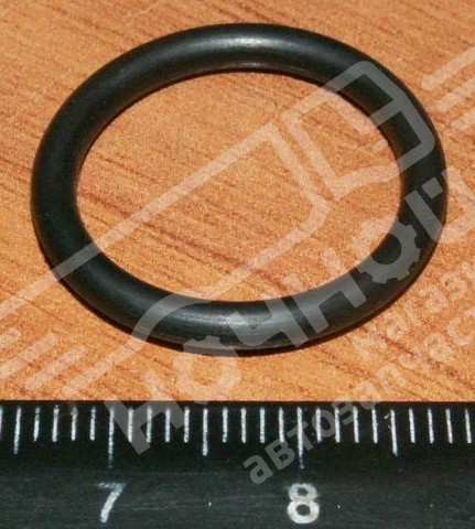 Кольцо КАМАЗ упл головки маслоохладителя Cummins 4/6 ISBe (23/18 мм)
