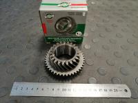 AV31105-1701152 