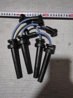 T106S