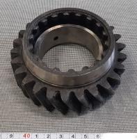 130-1701181