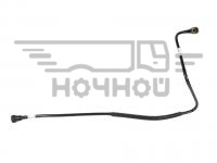 м