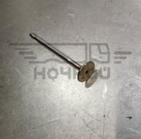 Клапан ГАЗ дв.G21 выпускн. (REG Auto Industry Ltd, Китай)