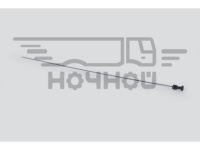 м