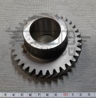 RG31029-1701156-10