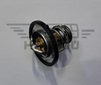 Термостат дв.G21 (REG Auto Industry Ltd, Китай)