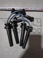 T106S