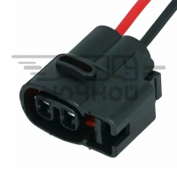 MG640605