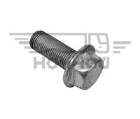 290885-81