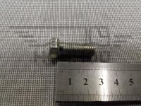 Болт М10х 25х1,5 (ОАО МАЗ)