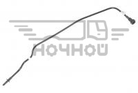 м