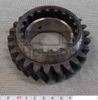 130-1701181